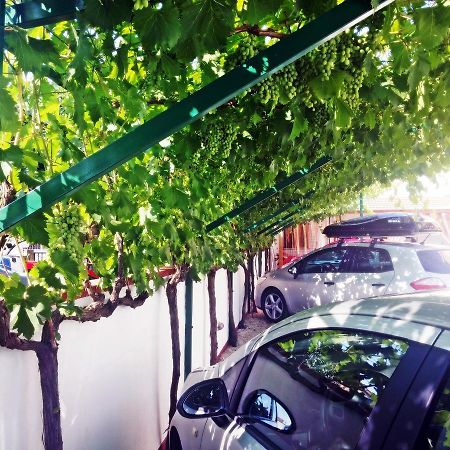 Apartments Eugen Pedisic Туран Екстериор снимка
